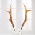 thumbnail image 2 of 6 Faux Deer Antler Picks: Add a Touch of the Wild to Your Home Décor, 2 of 5
