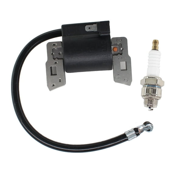 Ignition Coil to Eliminate Points 5hp for Briggs & Stratton 298316 395491 397358 395490 397358 697037 Spark Plug