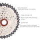 thumbnail image 3 of Greeniant Cassette de bicicleta 36T Suministros de ciclismo Tamaño compacto Instalación práctica Cog reemplazado Piezas mejoradas Cassettes de 8 Ciclismo Plata 36T Greeniant OD026183-01, 3 of 6