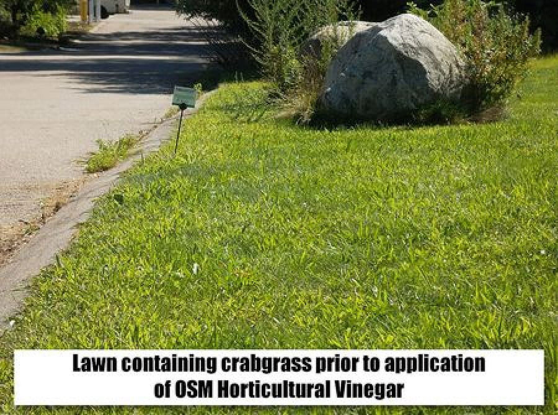 OSM Horticultural Vinegar,1 Gal. 81008201618-5