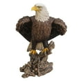 thumbnail image 2 of Pacific Giftware 17.5 inches Large American Bald Sea White-tailed Eagle stand on Wood Figurine Statue, 2 of 4
