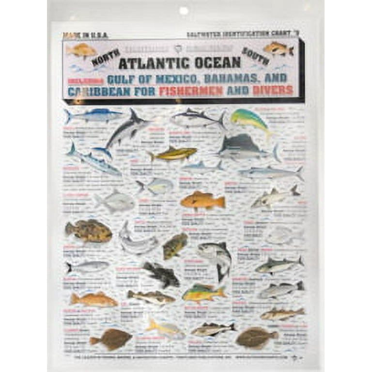Tightlines UV Publications Fisherman's Saltwater Fish Chart #5