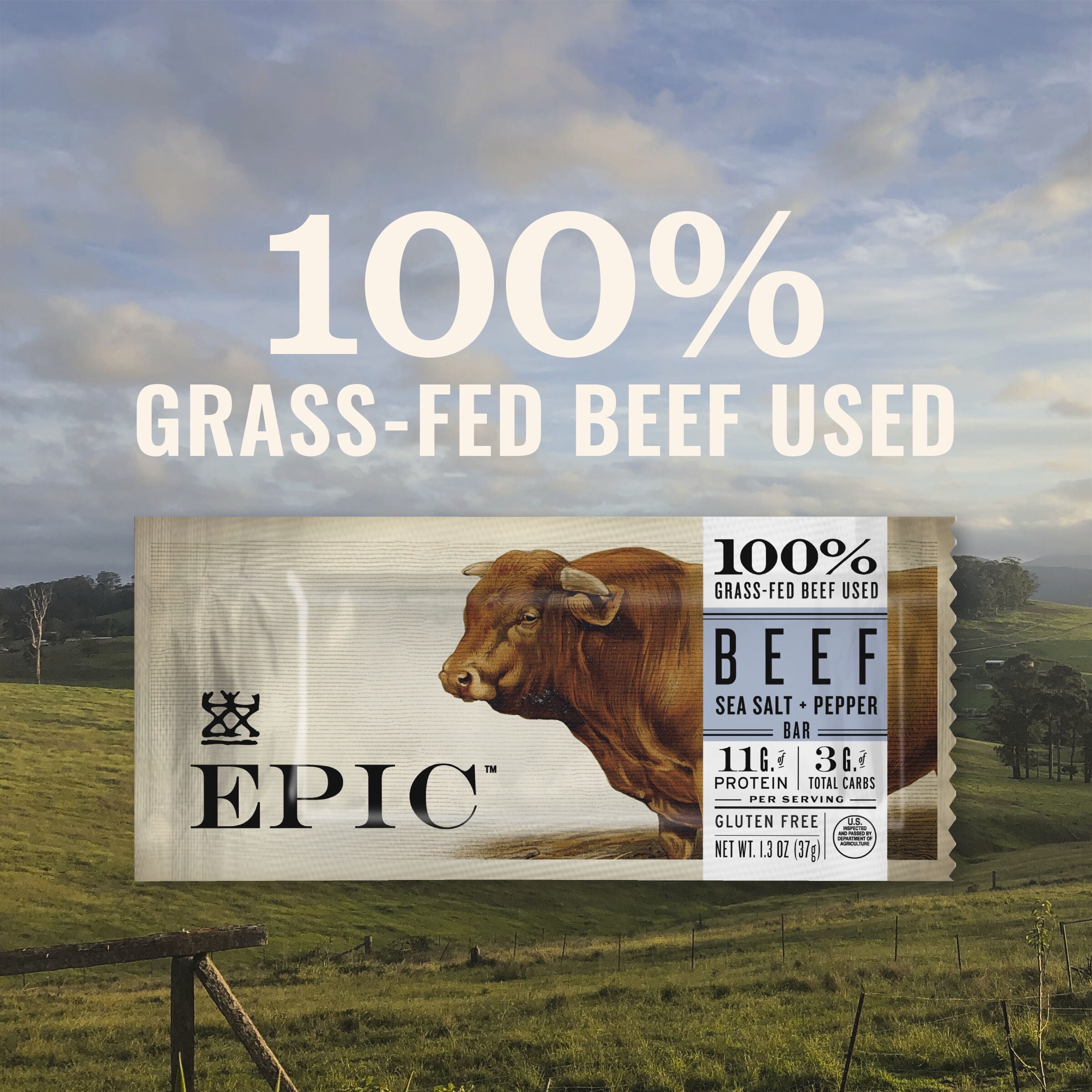 Epic - Bar Beef Sea Salt Pepper - Case Of 12-1.3 Oz - Organic Basic Food
