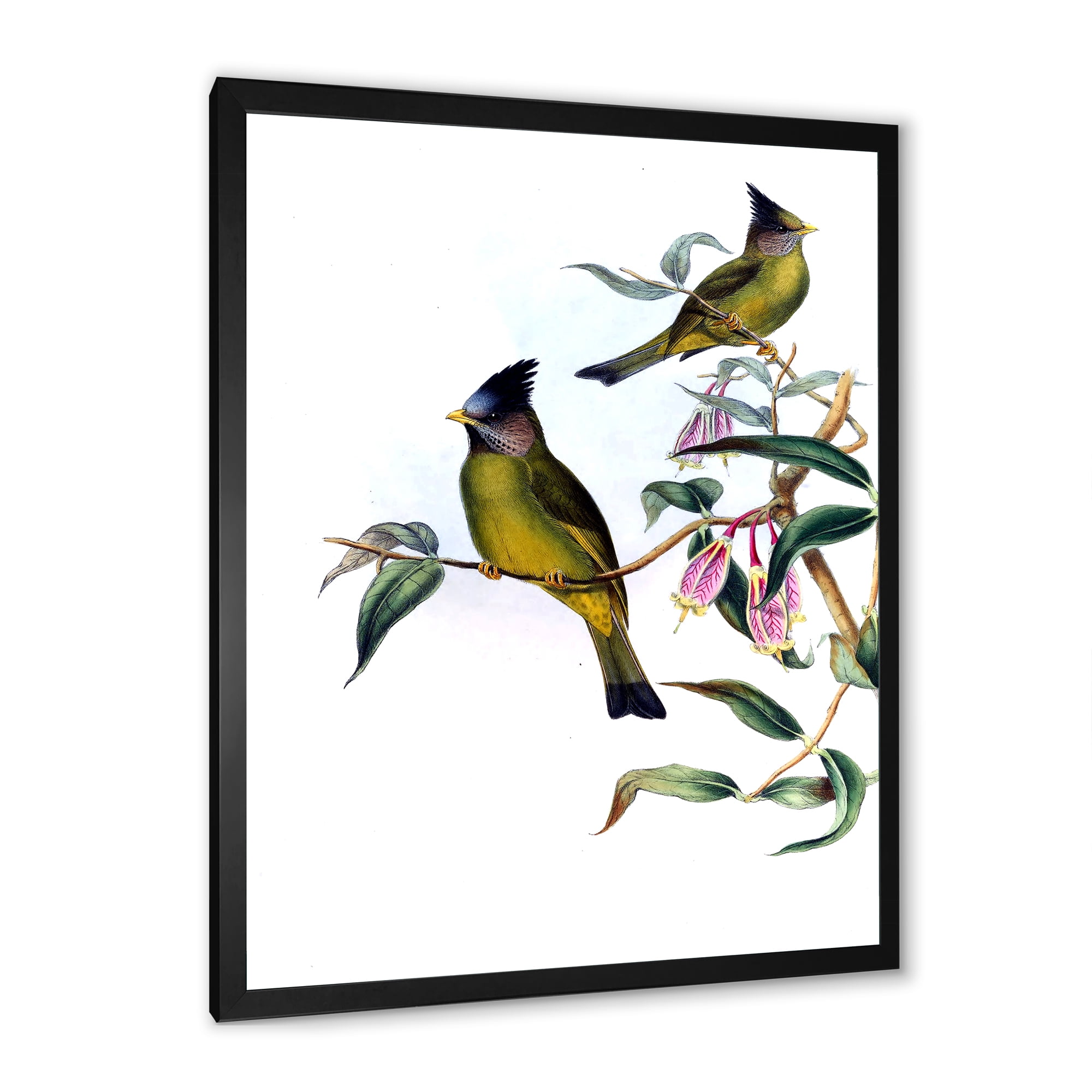 Designart 'Vintage Countryside Birds On Branch II' Farmhouse Framed Art Print
