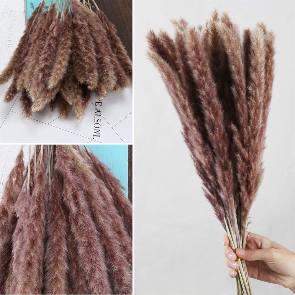 Elegant Brown Pampas Grass: 35pcs Dried Flowers for Balcony and Vase Arrangements