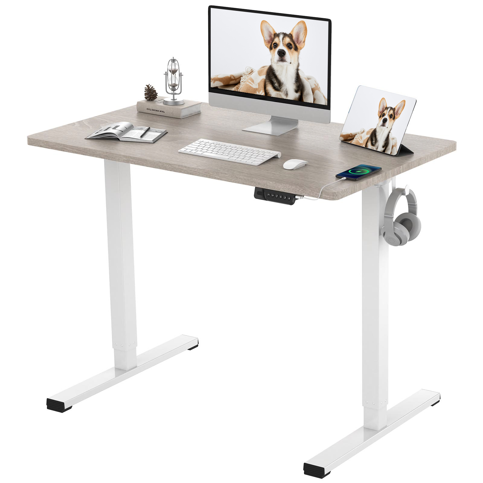 FLEXISPOT 40"X24" Home Office Height Adjustable Standing Desk White