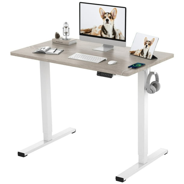 FLEXISPOT 40"X24" Home Office Height Adjustable Standing Desk White