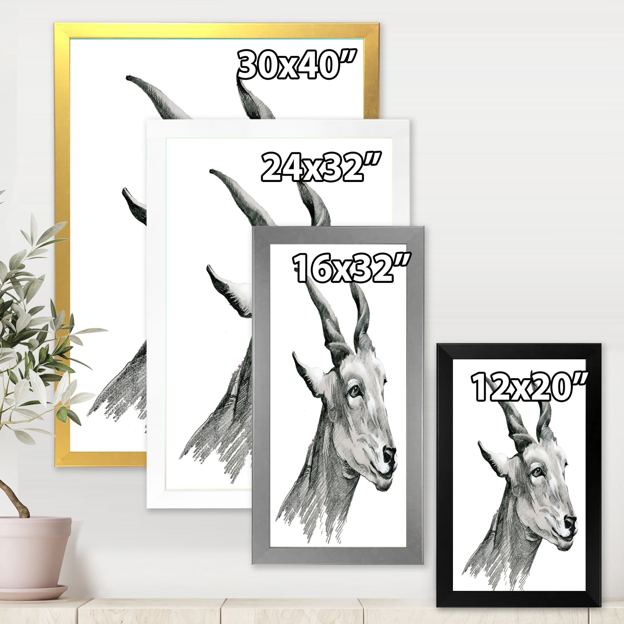 Designart 'Black and White Portrait Of Goat I' Farmhouse Framed Art Print