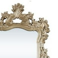 thumbnail image 3 of 56 Inch Wall Mirror Ornate Carving Champagne Gold - Saltoro Sherpi, 3 of 5