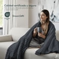 thumbnail image 3 of Cobija Frazada Afelpada Dreamlab Flannel de Rayas Ultra Suave | Blanket Cobertor Polar Invierno para Cama o Manta para Sofa | Frazada Calientita, Hipoalergénica | Colcha Grafito, 3 of 7