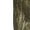 Mossy Oak Bottomland, variant on Mossy Oak Men's 6-Pocket Hunting Cargo Pants, Mossy Oak Bottomland, M