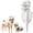 #A, variant on Dinosaur Skeleton Pet Costume, Pet Dinosaur Costume (#A,Medium) | Plush Halloween Pet Hood Outfit for Cats and Dogs, Adjustable Soft Dino Outfit for Halloween & Dress-Up Play