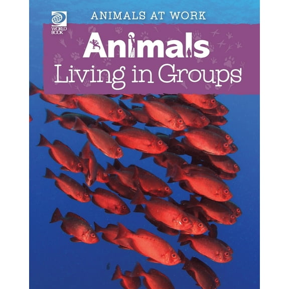 Animals Living in Groups, (Paperback)