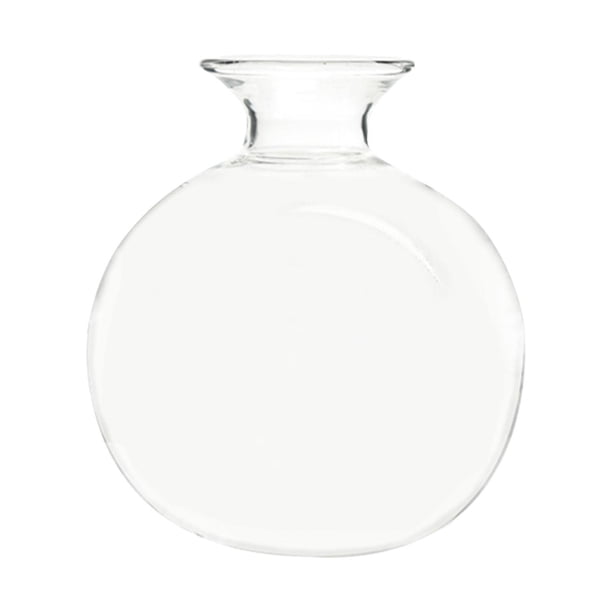 Jarrón de semillas de aguacate, regalo decorativo, jarrón transparente para oficina, hogar y jardín. Estilo B