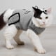 thumbnail image 2 of Traje de recuperación de mascotas para heridas abdominales, enfermedades de la piel, cirugía, abrigo protector para mascotas (S), 2 of 8