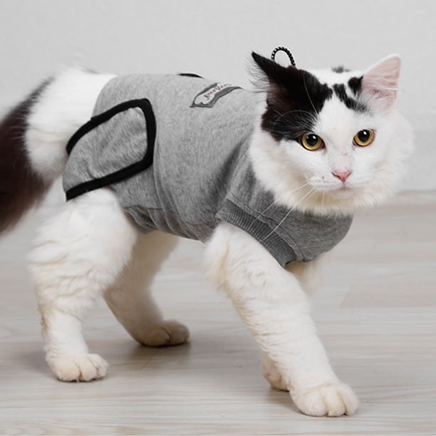 Traje de recuperación Ropa para mascotas Gatos, Traje de recuperación para mascotas para ropa Gatos Perros Después de la cirugía Traje de recuperación para mascotas Experiencia incomparable