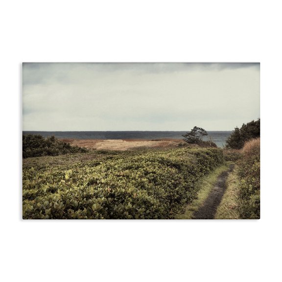 Stupell Industries Serene Coastal Pathway Landscape & Nature Photography Wrapped Canvas Art Print Wall Art, 24 x 16