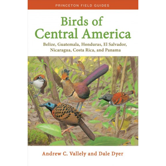 Pre-Owned Birds of Central America Belize, Guatemala, Honduras, El Salvador, Nicaragua, Costa Rica, and Panama: 136 (Princeton Field Guides, 136) Paperback
