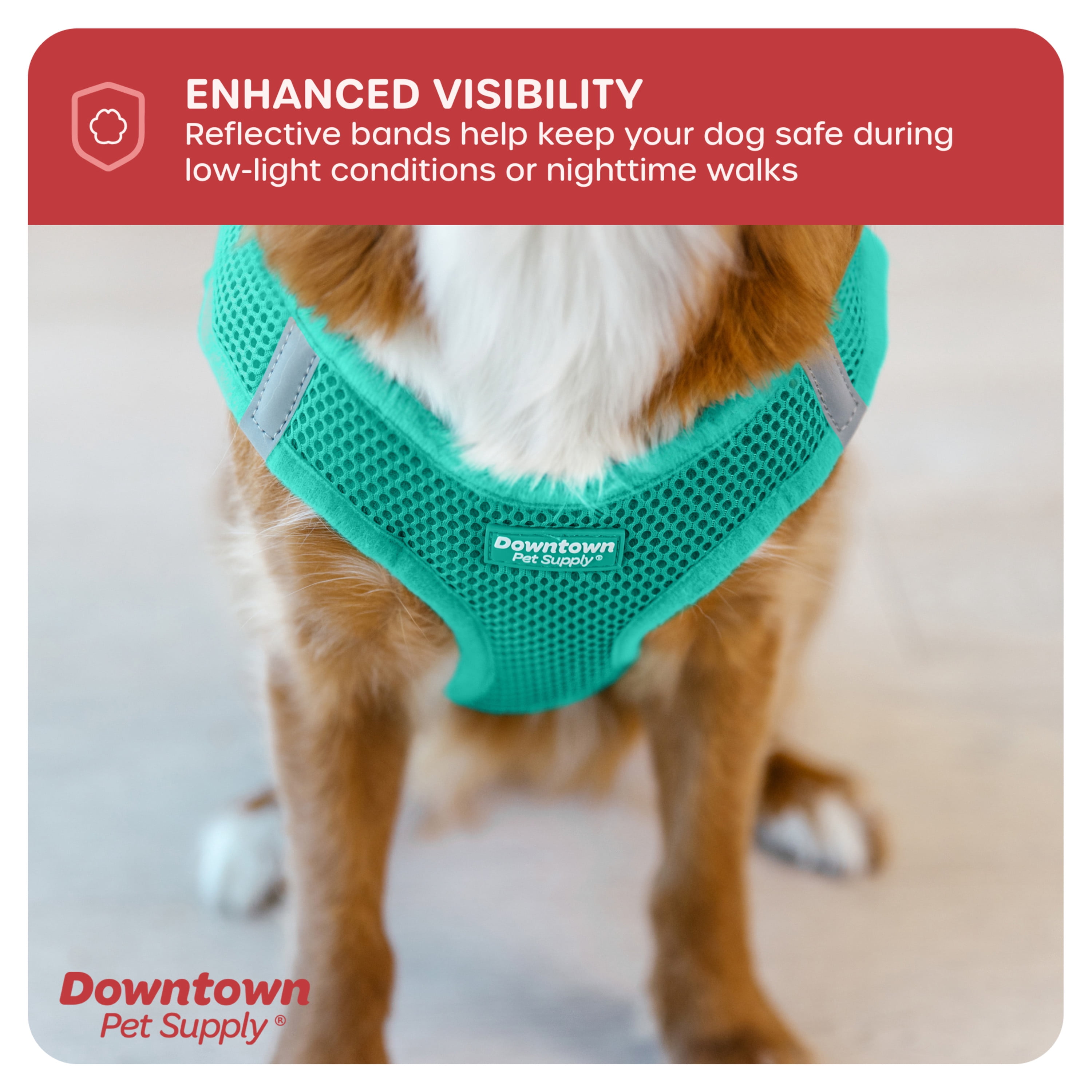 Downtown Pet Supply Step In Dog Harness No Pull, XX-Large, Bermuda Blue
