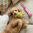 thumbnail image 5 of Oodles Durable Looped Knot Dog Toy Set, Blue and Green, One Size, 5 of 9