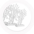 thumbnail image 3 of DECORNIJIA 1Jgo Coral Para De Y Ambiente De Fiesta, 3 of 8