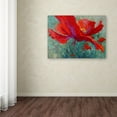 thumbnail image 3 of Trademark Fine Art 'Red Poppy 1' Canvas Art by Marion Rose, 3 of 3