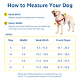 thumbnail image 6 of No-Pull Dog Harness and Leash Set, Front Clip Adjustable Vest with Handle for Control, Easy Walking Training(M,Red), 6 of 6