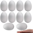 thumbnail image 1 of Huevos de espuma Craft Crafare de 4.5 pulgadas, 10 unidades, blancos, lisos, para bricolaje, 1 of 6