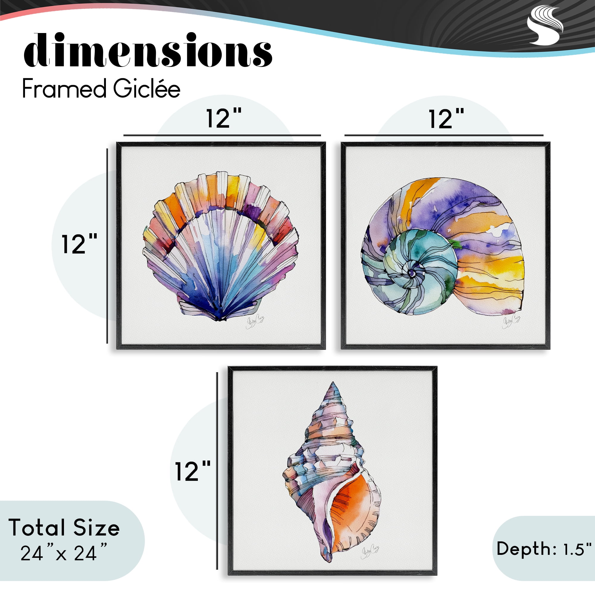 Stupell Industries Sunlit Seashells Watercolors 3 Piece Black Framed Giclee Art Set, design by Shelly Craig