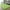 Green, variant on Clearance!Washable Fluffy Area Rug, Rectangular Anti-Slip Artificial Soft Plush Shag Carpet for Home Bedroom Living Room New