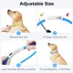 thumbnail image 5 of Collar luminoso para perro, collar fluorescente LED recargable, 8 colores, collar de seguridad ajustable de 3 modos para perros pequeños, grandes y medianos, azul, 5 of 5