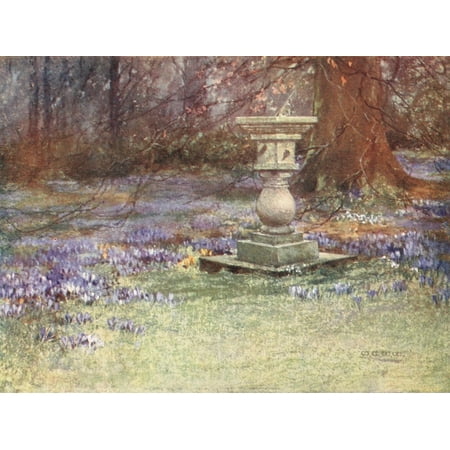Scottish Gardens 1908 Whitehouse Poster Print by Mary GW Wilson