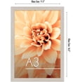 thumbnail image 3 of Americanflat 8.5" x 11.7" Lightwood Poster Frame, 3 of 4