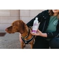 thumbnail image 5 of Breedwise Pet Provisions Dog Shampoo, Sweet Pea and Vanilla fragrance, 12 oz, 5 of 8
