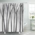 thumbnail image 1 of Cortina de Ducha ABPHQTO Blanco Africa Dibujo de Troncos 160x180 cm, 1 of 1