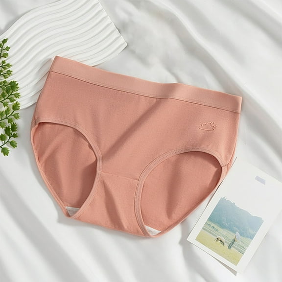 Censtreet Womens Seamless Underwear Cotton Hipster Panties Regular & Plus Size Breathable Ladies Panties