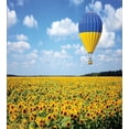thumbnail image 3 of Ambesonne Hot Air Balloon Duvet Cover Set, Sunflower Fields, 2-Calking, Sky Blue Yellow, 3 of 7