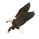 thumbnail image 3 of 2xAnimal Figura De Pájaro Águila Educativa Coleccionable Para Mesa De Centro Escritorio A, 3 of 8