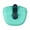 Mint Green, variant on Qyaukm Silicone Dog Training Treat Pouch, Clip on Portable Snack Container with Waist Belt Loop, Odor Resistant Collapsible Pet Reward Bag, One Hand Easy Open