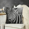 thumbnail image 2 of YINGXI Throw Pillow Covers Cute Square Pillowcases for Home Decor Sofa Car Bedroom Black White Stripes Design Dark Background Print Pillow Cases 24x24in, 2 of 5