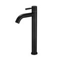 thumbnail image 1 of Black Sink Faucet Bathroom Counter Faucet Single Cold Water Stainless Steel Single Hole, 1 of 5