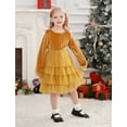 thumbnail image 6 of IDOPIP Toddler Baby Girls Christmas Velvet Dress Long Sleeve Ruffle Tulle Princess Dress, 6 of 9