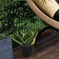 thumbnail image 4 of HOSTIC Premium Black Plastic Nursery Plant Container Garden Planter Pots, 4 of 7