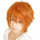 thumbnail image 1 of Anime Hombres Corto Rizado Mullido Capas Multifunción Cosplay Fibra resistente al calor Peluca sintética de Halloween (Naranja), 1 of 5