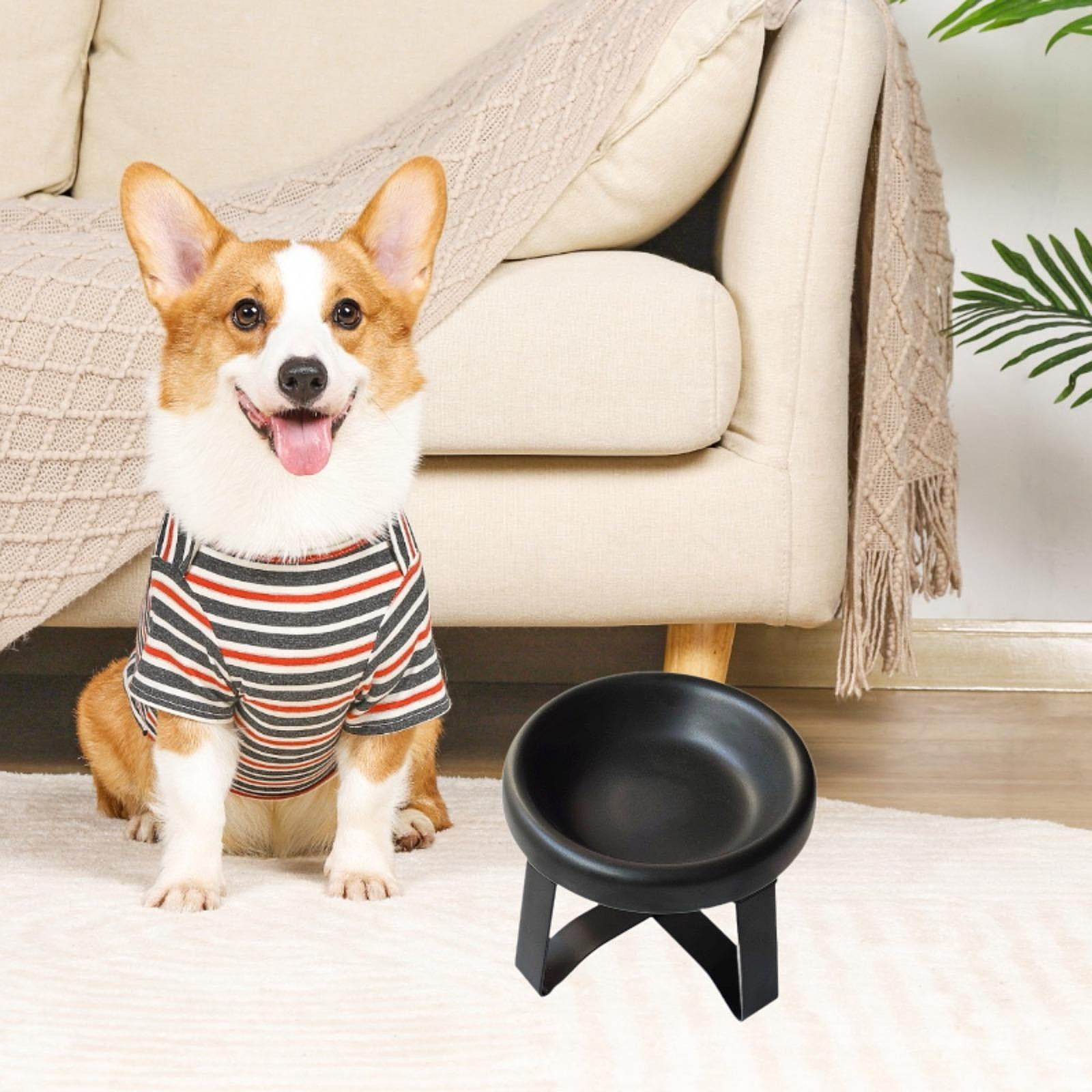 Serenable Cat Bowl Cat Food Dish with Metal Stand, Water Dispenser, Prevents Spills, Ceramic Pet Bowl for Small and Medium Breeds Puppy Black