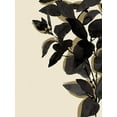 thumbnail image 2 of Warren, Annie 15x18 Gold Ornate Wood Framed with Double Matting Museum Art Print Titled - Ebony Branch II, 2 of 4