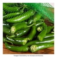 thumbnail image 1 of Chile serrano imperfecto en malla 400 g, 1 of 2