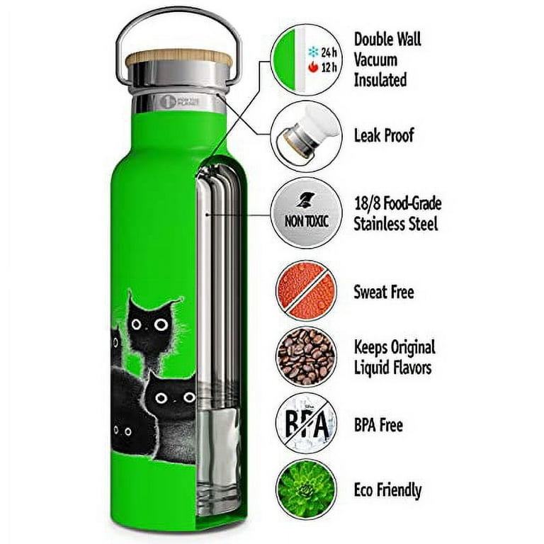 Greens Steel Kids Water Bottle - 12oz Orange | Leak Proof with Straw & Handle | 24 Hours Cold | Insulated, Double Wall Stainless Steel | E