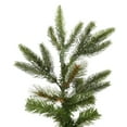 thumbnail image 3 of Vickerman 7' Shawnee Fir Artificial Christmas Tree, Unlit, 3 of 5