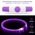 thumbnail image 3 of Collar LED para perros BSEEN, recargable por USB, para perros pequeños, medianos y grandes, 3 of 7